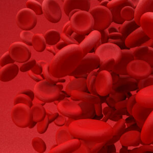 Iron deficiency in cardiology 2023