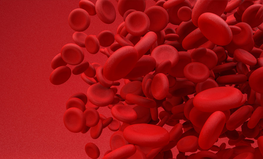 Iron deficiency in cardiology 2023