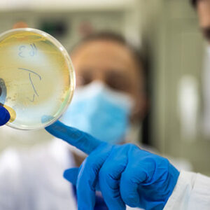 Carbapenemase-producing Enterobacteriaceae: A practice update
